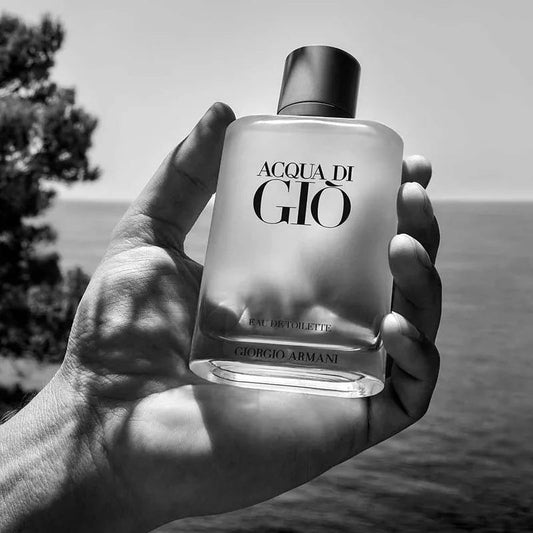 Giorgio Armani Acqua Di Giò Masculino Eau de Toilette 100ml - AlicellVirtual